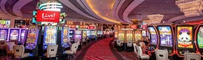Người dùng Việt Nam chơi Live Casino ev888 trên smartphone